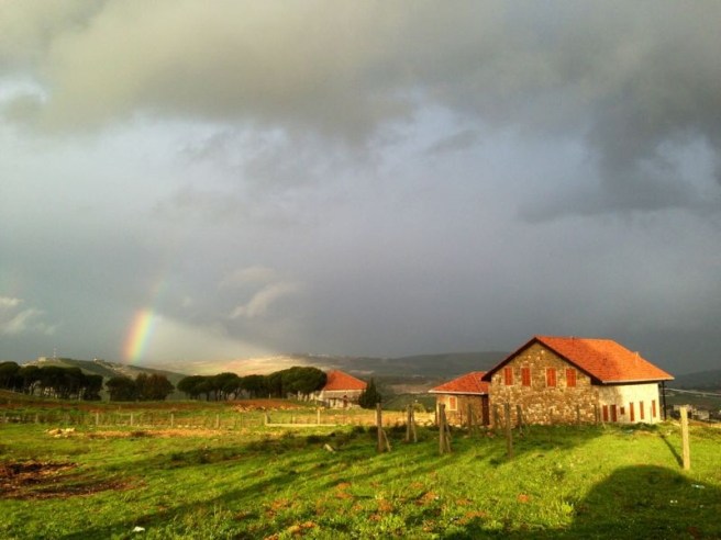 537612_10151527293041083_321810114_n