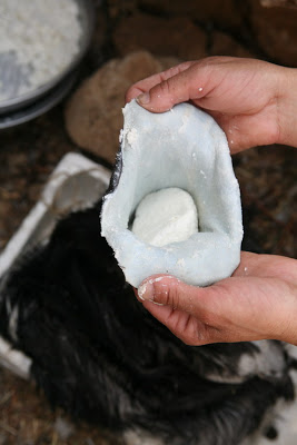 IMG_2518slowfoodbeirutdarfieh