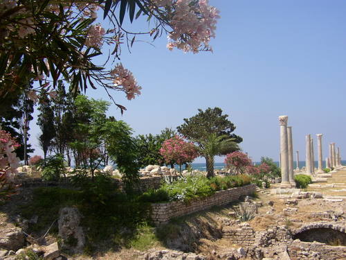 site_0299_0001-500-375-20151105121227