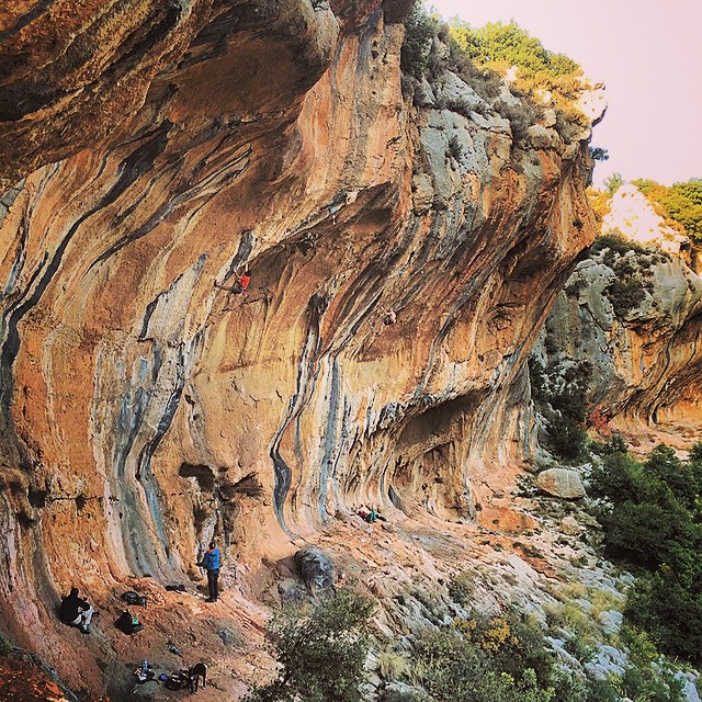 10784903_480867155385954_632622710_n