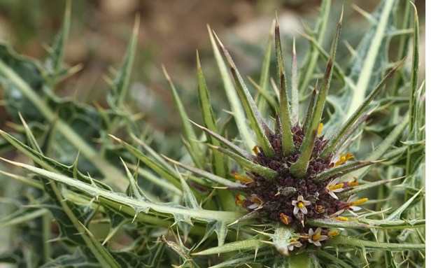 20110416230125-ff0496e0