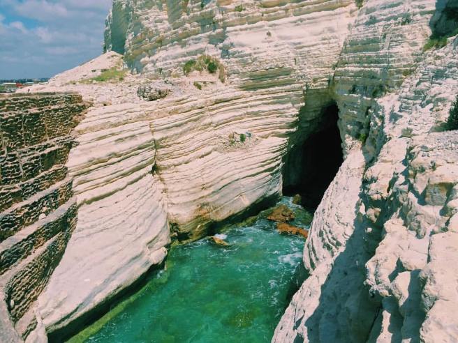 13147290_10154290576944113_2095125698023209145_o