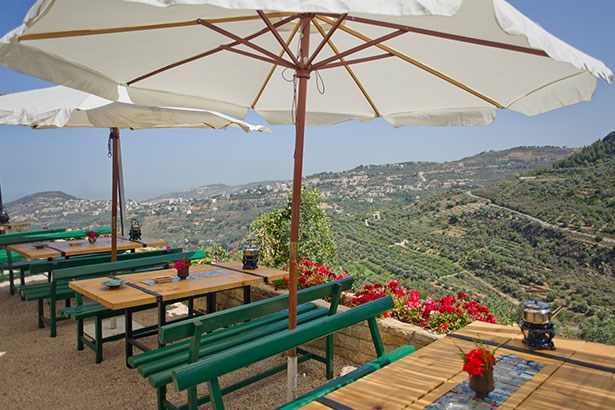 Hidden-1_021808.jpg.ashx