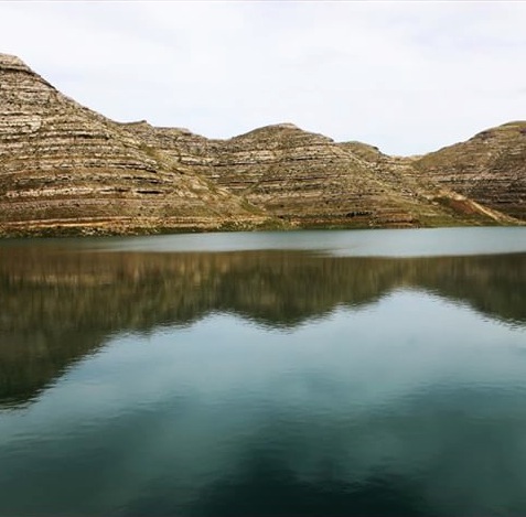 11379156_441695492679149_177855891_n