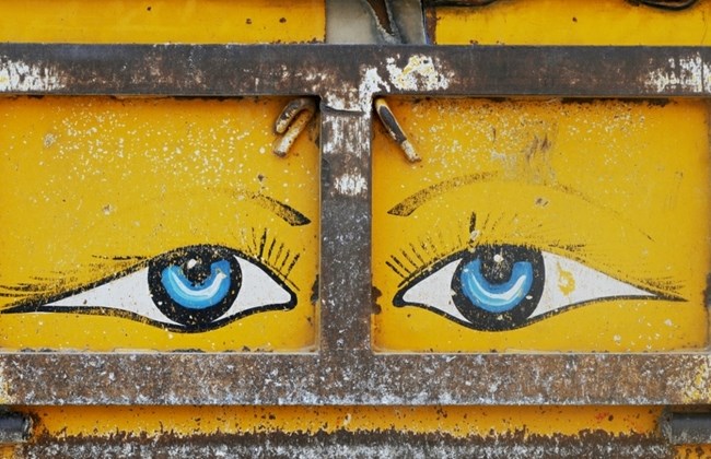 253674_img650x420_img650x420_crop