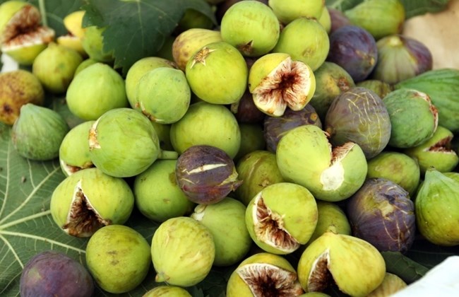 198936_img650x420_img650x420_crop