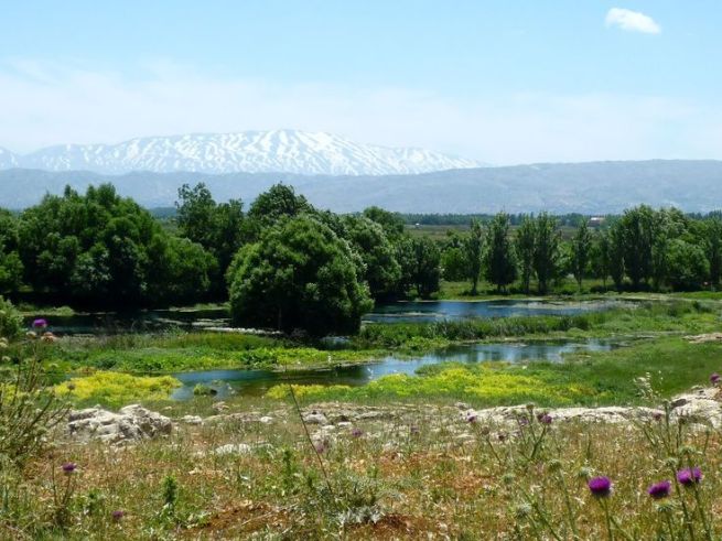 b933692f7133519642baf7a1adc8b3db