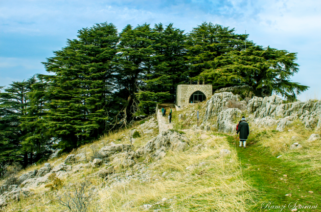 Screen Shot 2016-08-23 at 8.01.13 AM