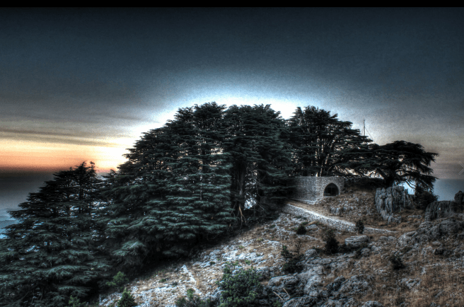 Screen Shot 2016-08-23 at 8.01.46 AM