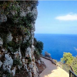 12093329_698249663643385_1376722076_n