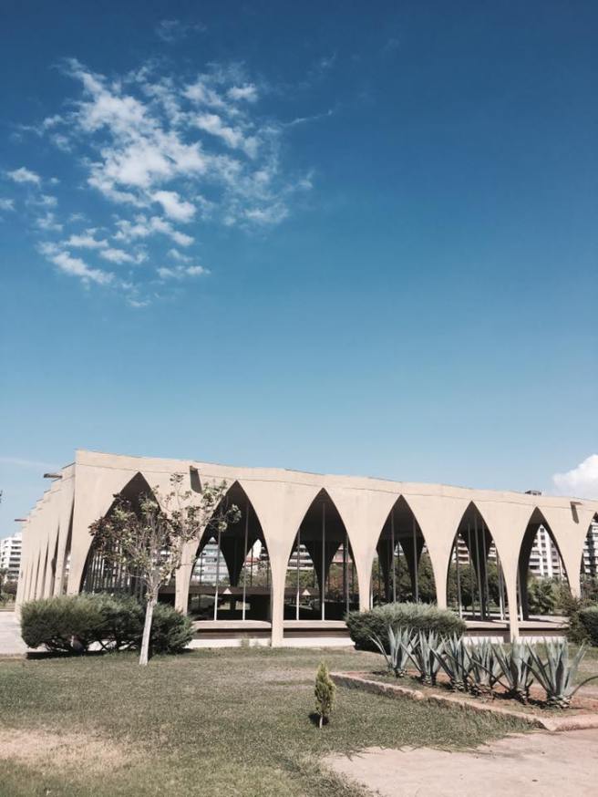 14184378_10154234891451141_3229370434418976261_n