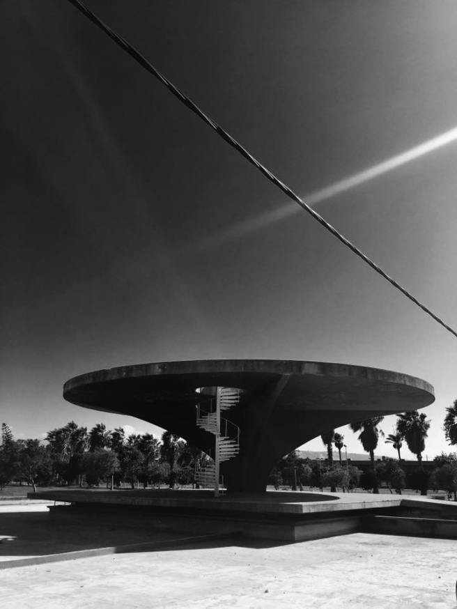 14238358_10154234892071141_4973307292891721503_n