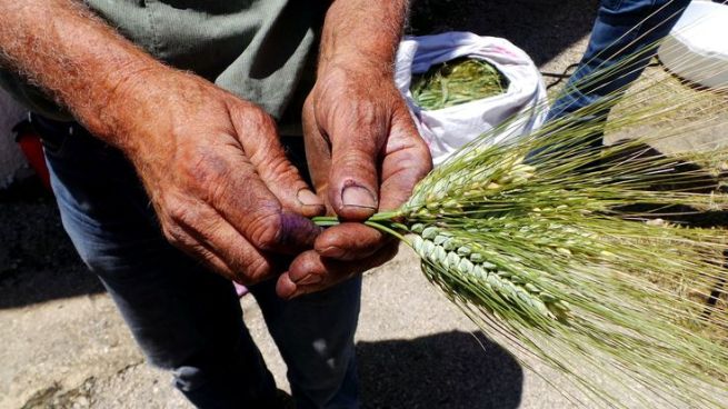 6083518efabde10c4763d495592b697e