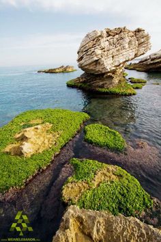 89714c72379d1ef0bb0b043cac01bba9