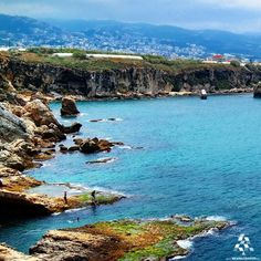 c72687ab4fa39843821e36b5024b236c