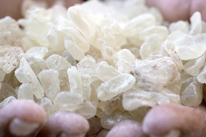 8 MAJESTIC Mastic Essential Oil Uses and Benefits That Will Shock You