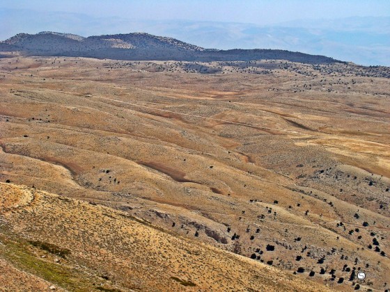 qernet_el_sawda_sama-560x420