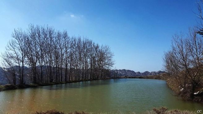 12479064_214497548931008_809856535_n