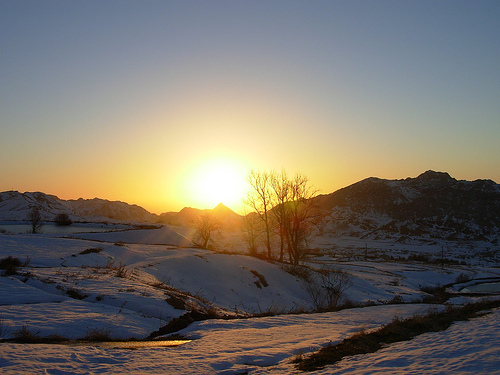 202080719_be64c91b60