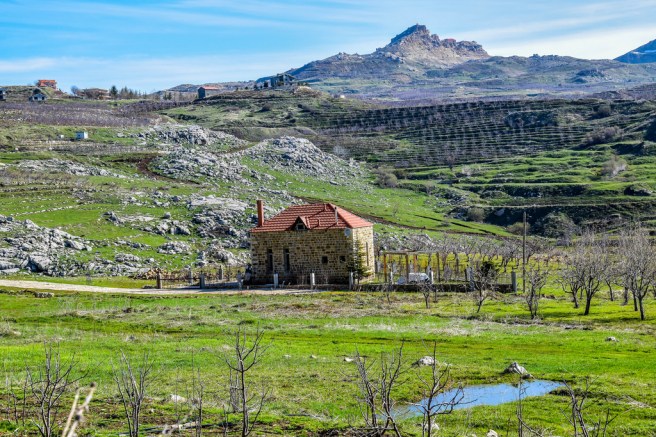 28018432672_cb18a126aa_b