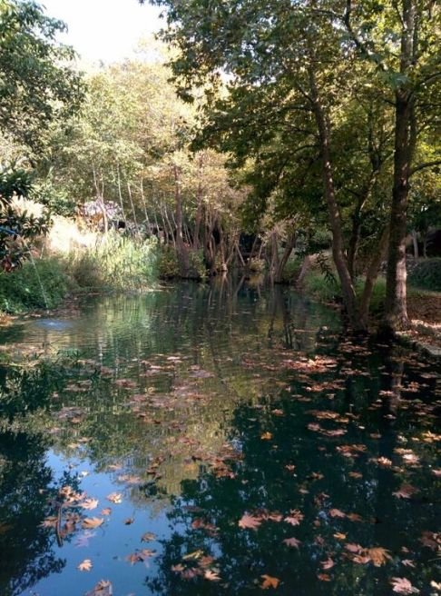 d3ae882edddfd14f55156c69f4d3108a